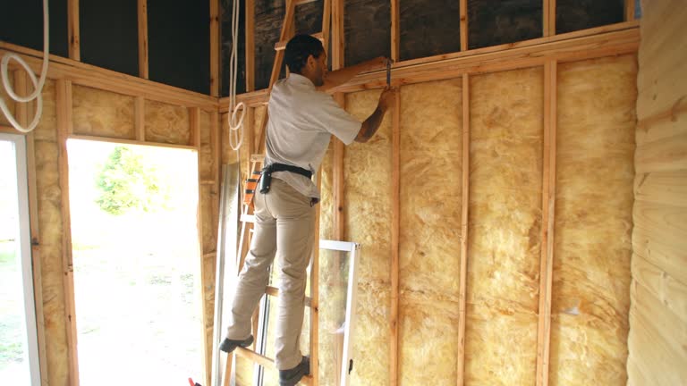 Best Fireproof Insulation  in Corrales, NM